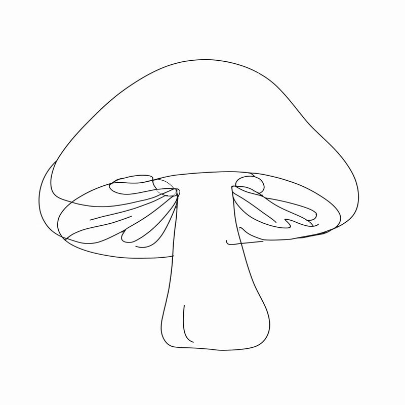 A mushroom cap outlines its shape